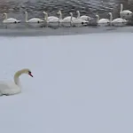 Lägenhet Akwarela Ii *