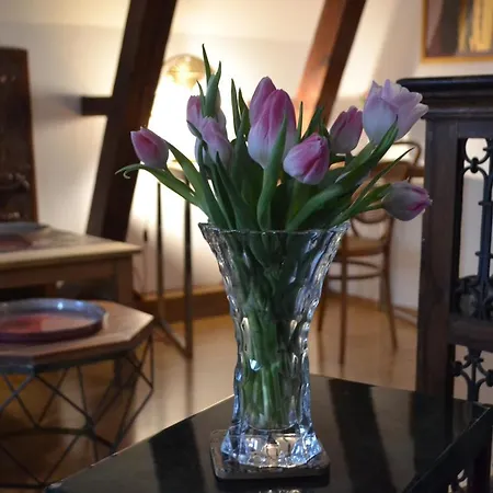 Akwarela Ii Cracovia