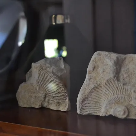 公寓 Akwarela Ii 克拉科夫