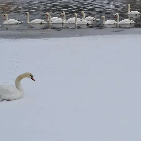 Apartamento Akwarela Ii *