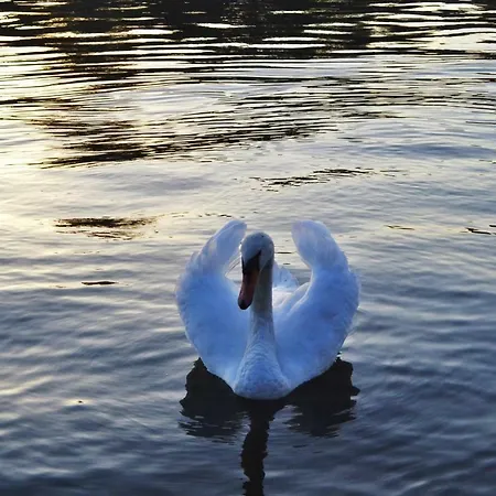 Akwarela Ii * 克拉科夫