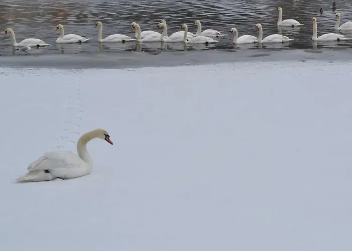 شقة Akwarela Ii *