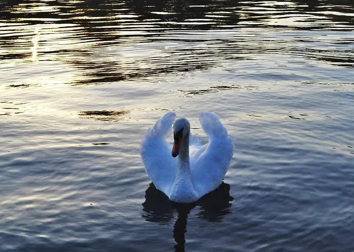 Akwarela Ii * كراكوفيا