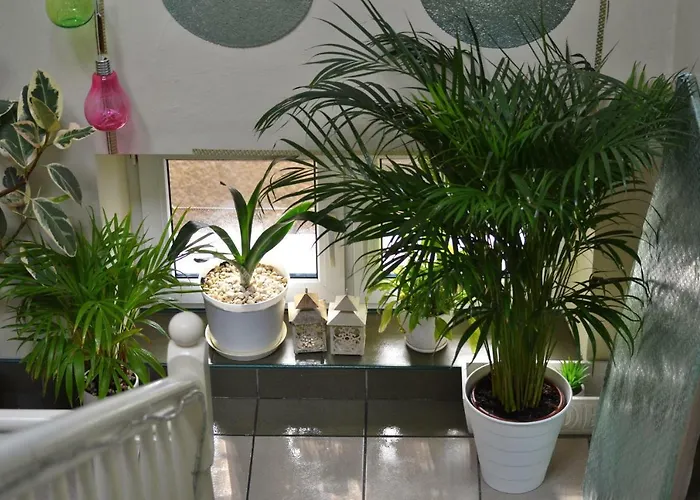 شقة Akwarela Ii *