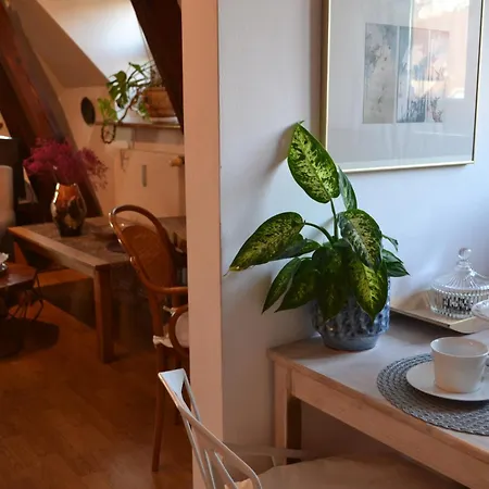 Akwarela Ii Cracóvia