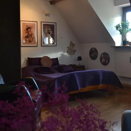 Akwarela Ii Appartement