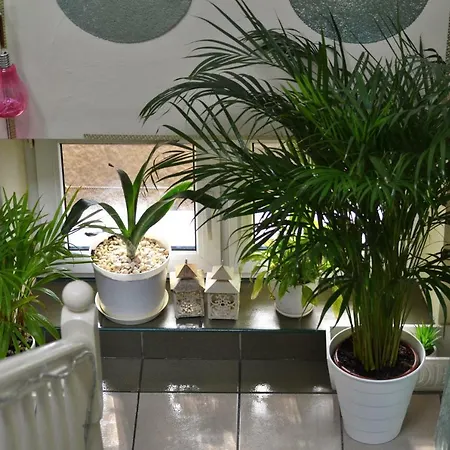 Appartement Akwarela Ii *